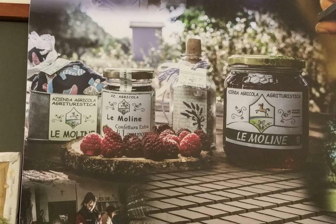 Piccolo Casale A "Le Moline" In Una Vera Fattoria Vetralla Zewnętrze zdjęcie