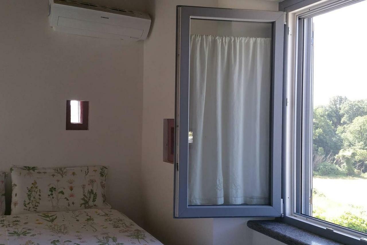 Piccolo Casale A "Le Moline" In Una Vera Fattoria Vetralla Zewnętrze zdjęcie