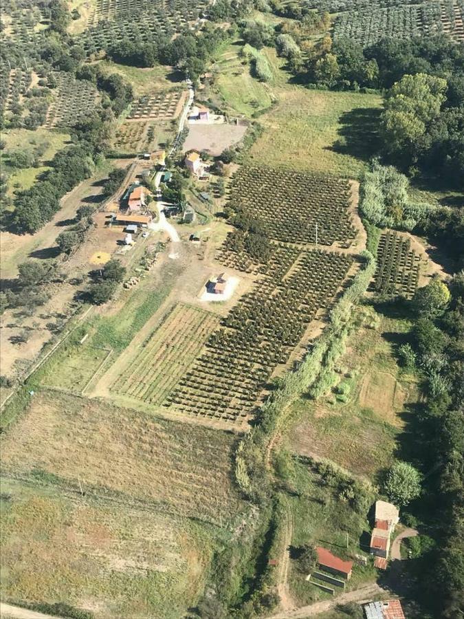 Piccolo Casale A "Le Moline" In Una Vera Fattoria Vetralla Zewnętrze zdjęcie