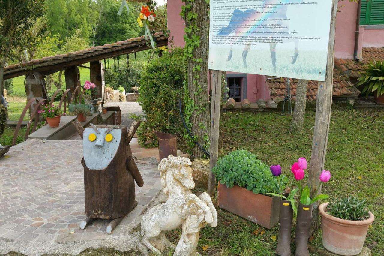 Piccolo Casale A "Le Moline" In Una Vera Fattoria Vetralla Zewnętrze zdjęcie